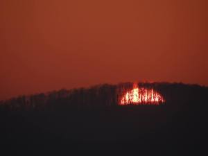 1236366_748132041987884_8129779902120266052_n