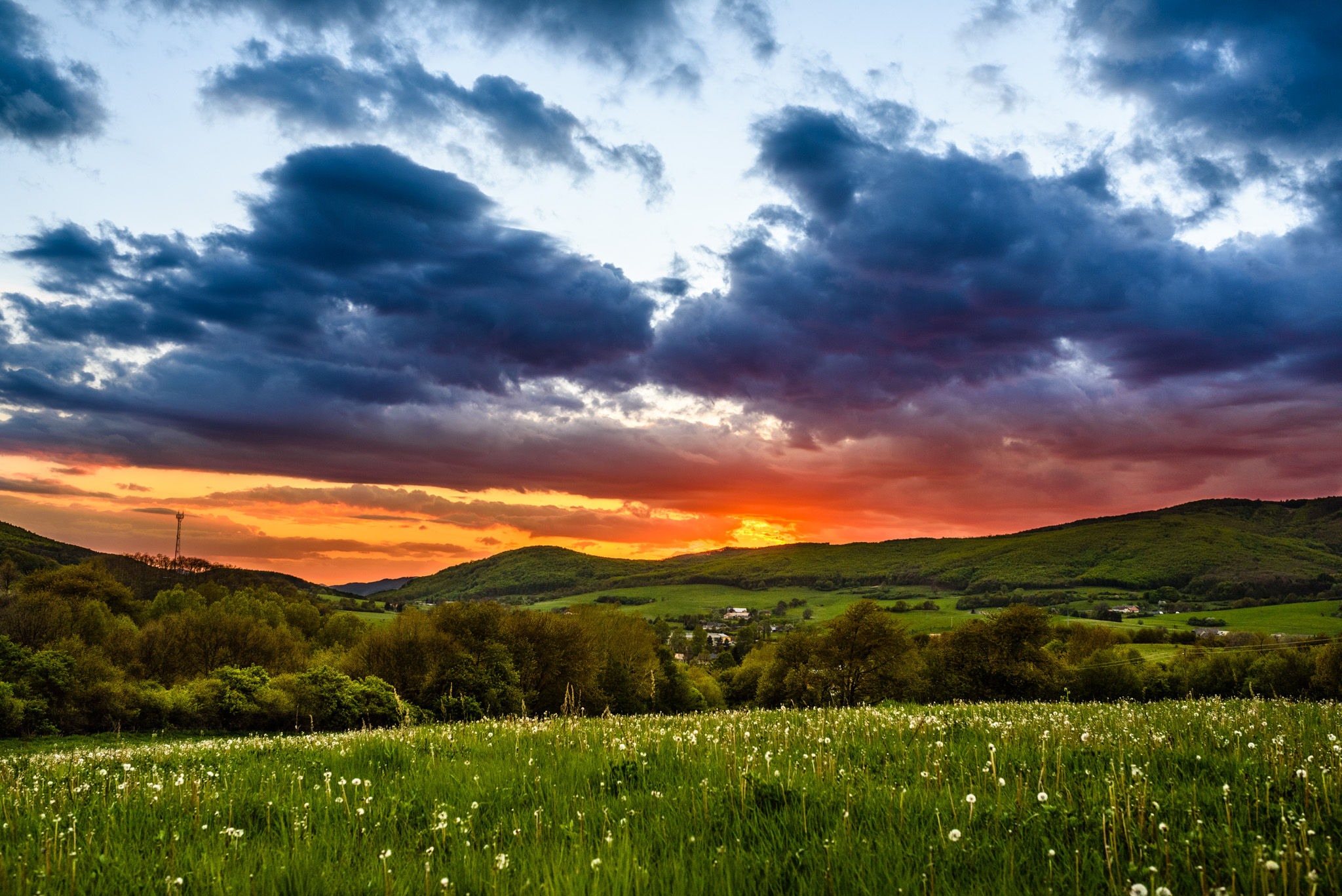 ZJZV-YOGA-2016-web-1031